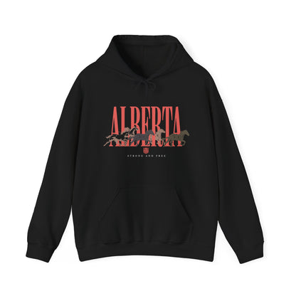 Alberta Unisex Hoodie | Vintage Western Alberta Pride Pullover