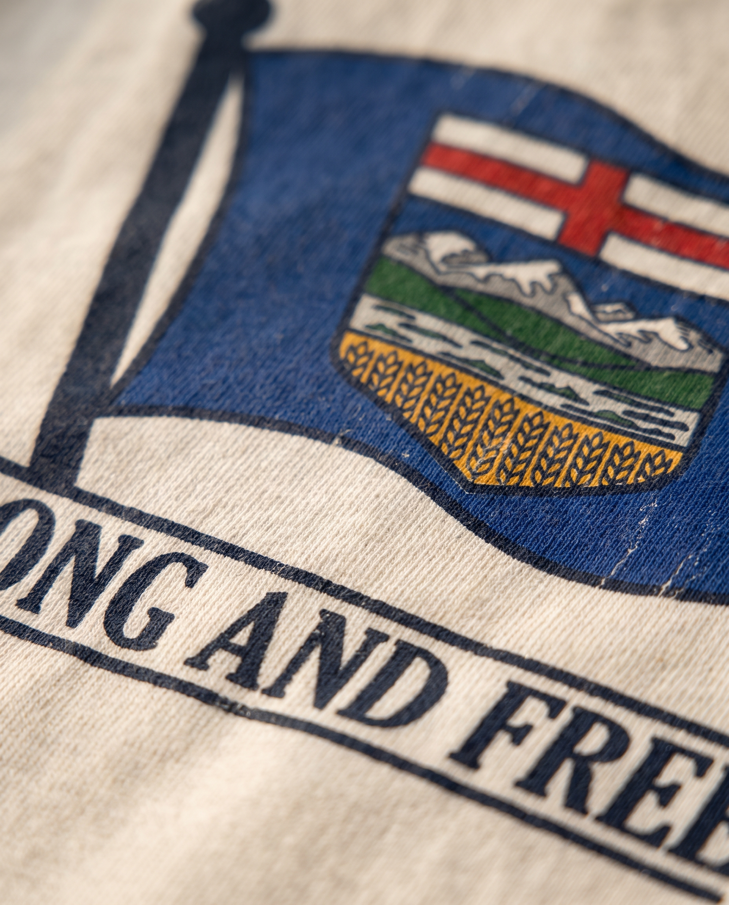 Alberta Flag T-Shirt | Strong and Free Bronco Rider
