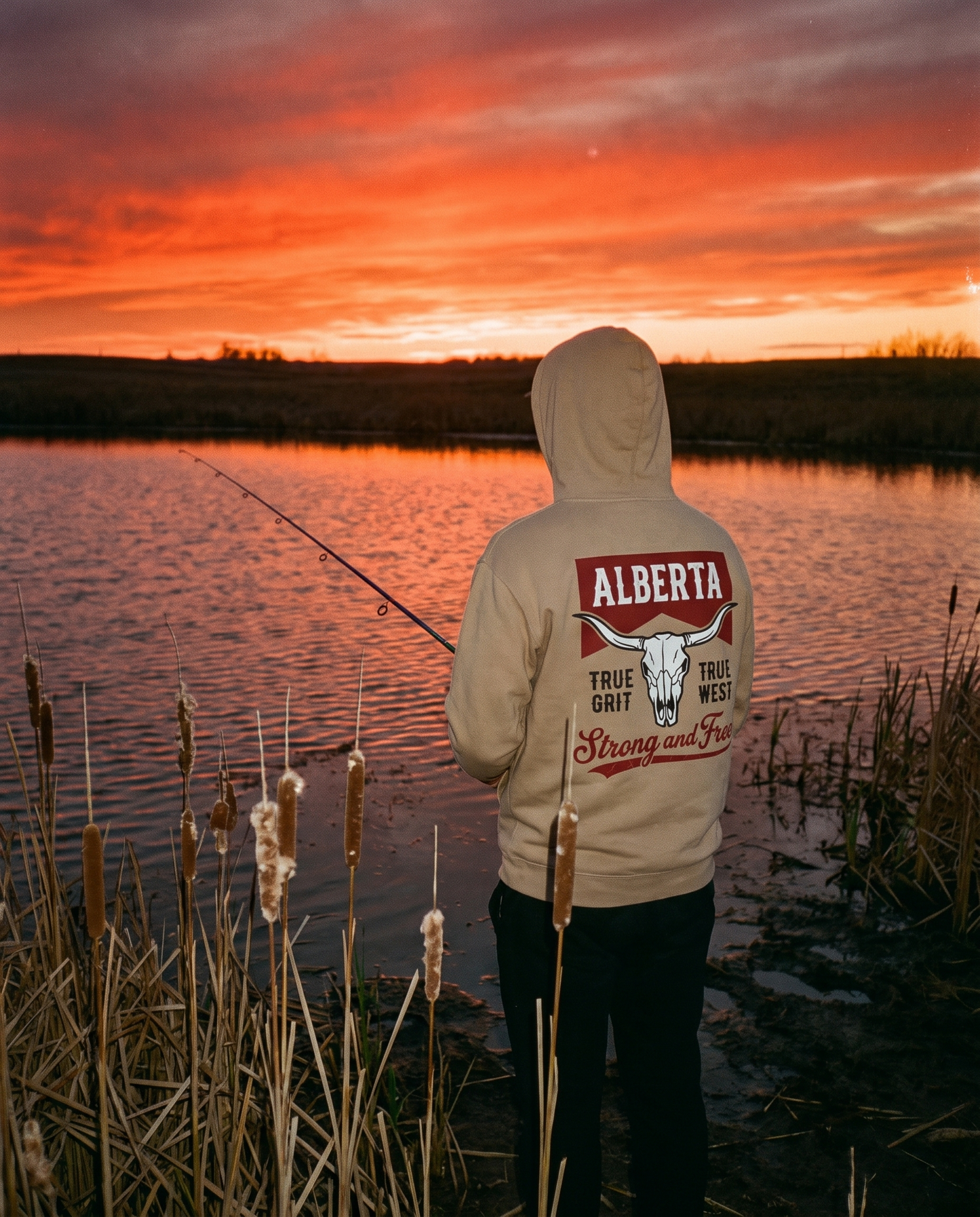 Alberta Hoodie | Strong and Free Longhorn Skull