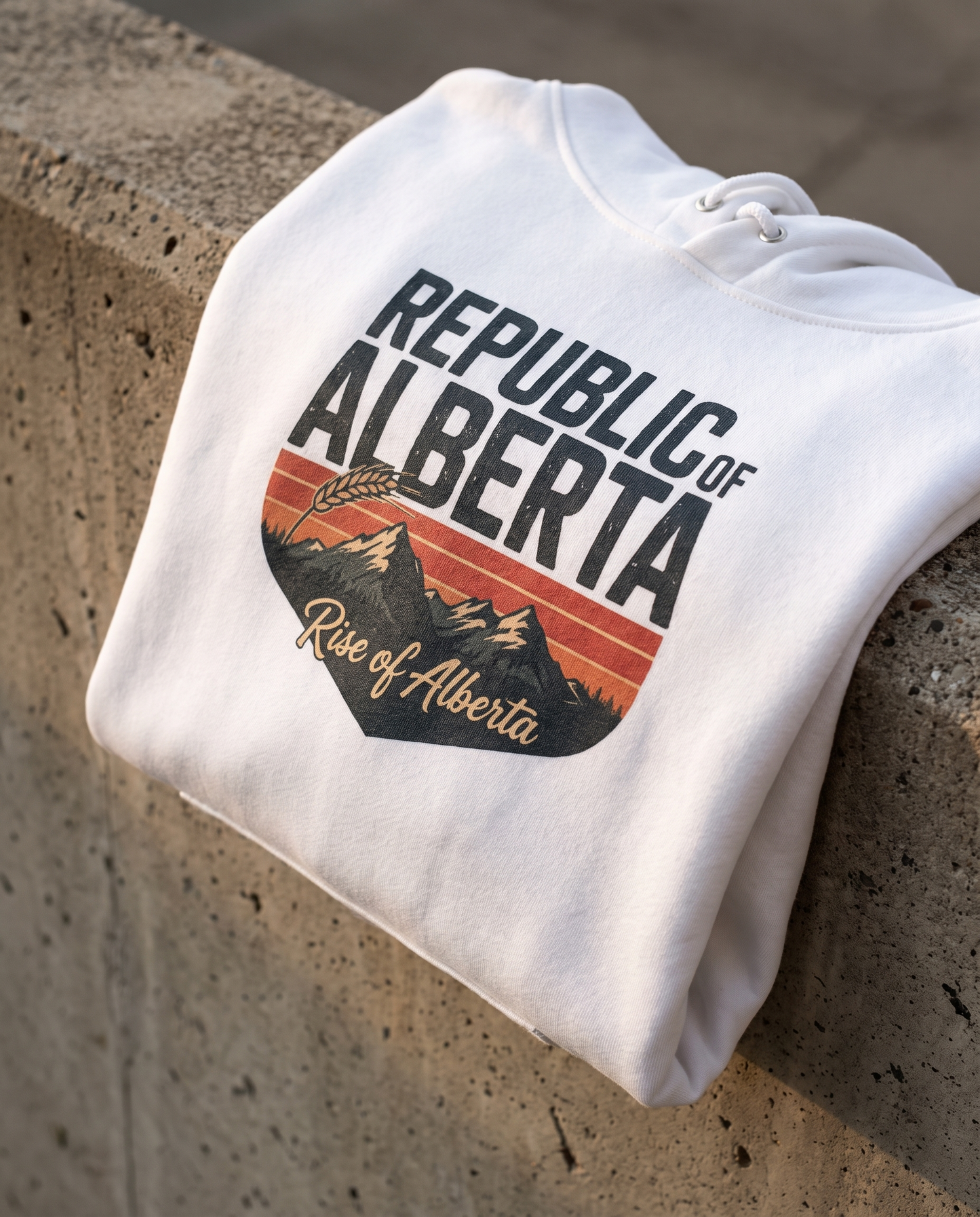 Republic of Alberta Champion hoodie badge print detail close-up